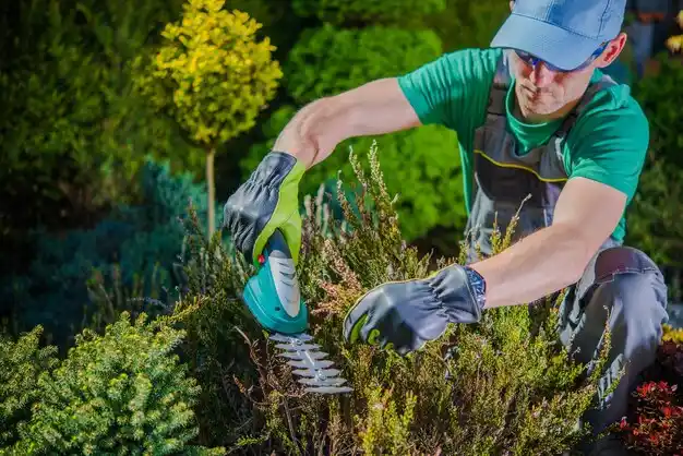 landscaping services Newtown